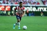 articulo relacionado