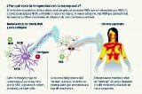 articulo relacionado