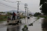 articulo relacionado