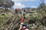articulo relacionado