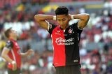 articulo relacionado