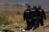 articulo relacionado