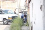 articulo relacionado