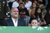 articulo relacionado