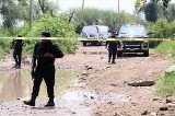 articulo relacionado