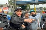 articulo relacionado