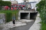 articulo relacionado