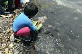 articulo relacionado