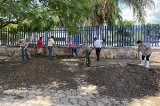 articulo relacionado
