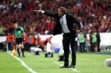 articulo relacionado