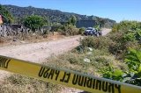 articulo relacionado