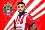 articulo relacionado