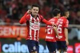 articulo relacionado