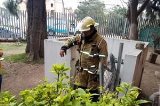 articulo relacionado