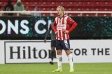articulo relacionado