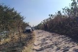 articulo relacionado