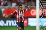 articulo relacionado