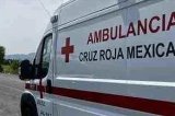 articulo relacionado