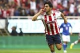 articulo relacionado