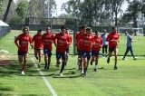 articulo relacionado