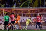 articulo relacionado