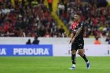 articulo relacionado
