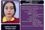 articulo relacionado