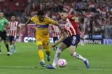 articulo relacionado