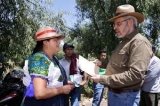 articulo relacionado