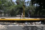 articulo relacionado