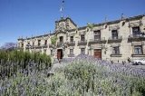 articulo relacionado