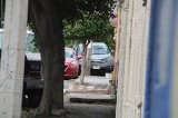 articulo relacionado