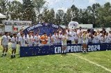articulo relacionado