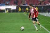 articulo relacionado
