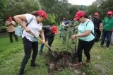 articulo relacionado