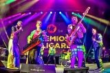 articulo relacionado