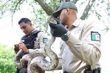 articulo relacionado