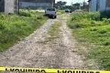 articulo relacionado