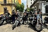 articulo relacionado