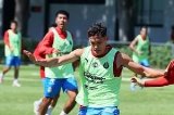 articulo relacionado