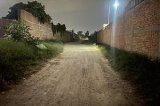 articulo relacionado