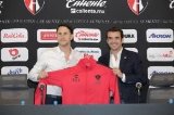 articulo relacionado