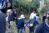 articulo relacionado