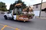 articulo relacionado