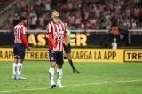 articulo relacionado
