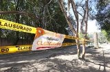 articulo relacionado