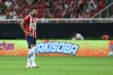 articulo relacionado