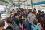 articulo relacionado