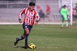 articulo relacionado
