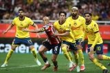 articulo relacionado